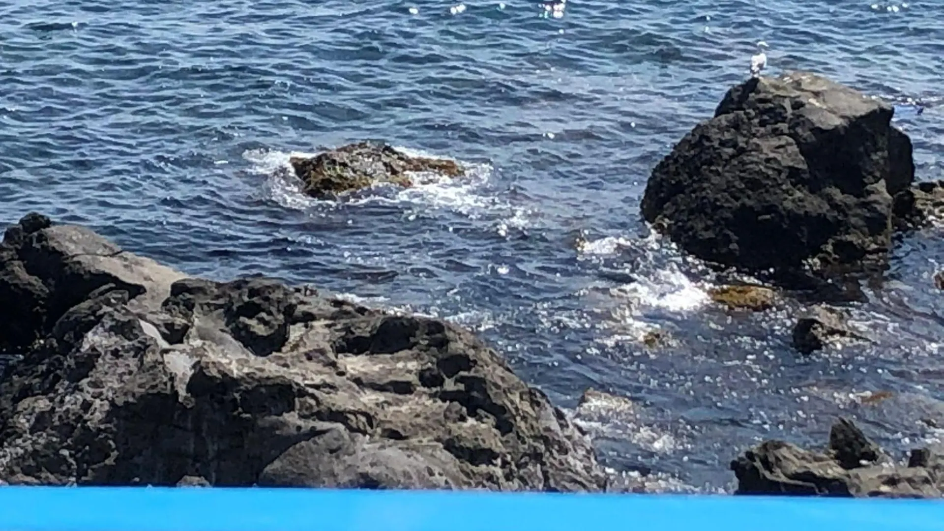 Laluna Apartments - Sea Panorama - 20Mins From Cta Airport Aci Trezza